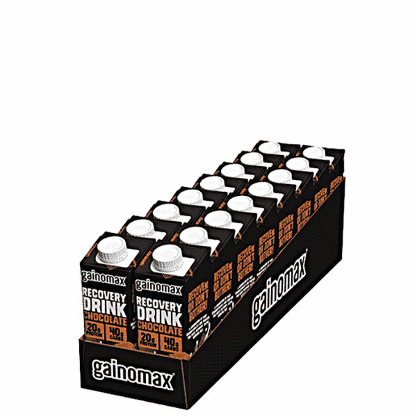 16 x Gainomax Recovery, 250 ml, Chocolate