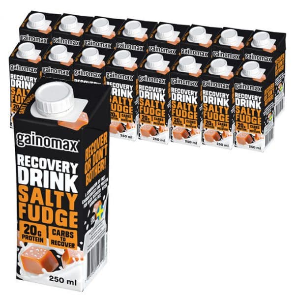 Gainomax Återhämtningsdryck Salty Fudge 16-pack